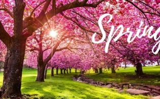 Пролетна ваканция 1-10 април